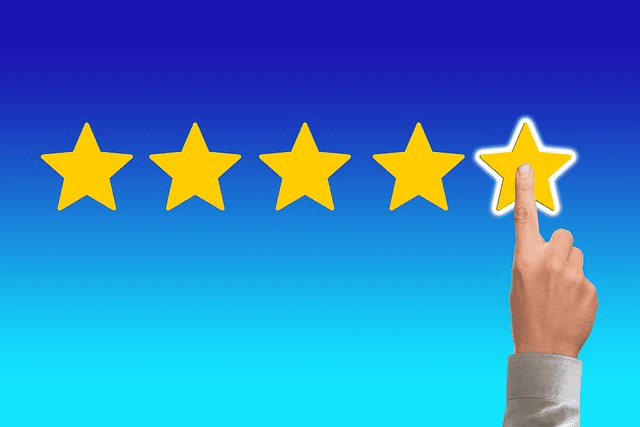 feedback, review